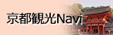 navi.jpg